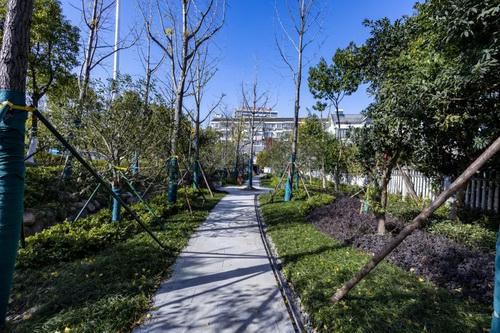 平湖市街头多处绿化容貌升级