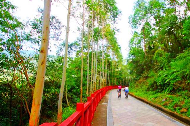 深圳凤凰山绿道