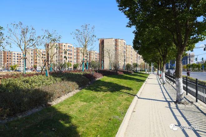 增绿提质！佘山这几条道路的绿化景观提升竣工在即