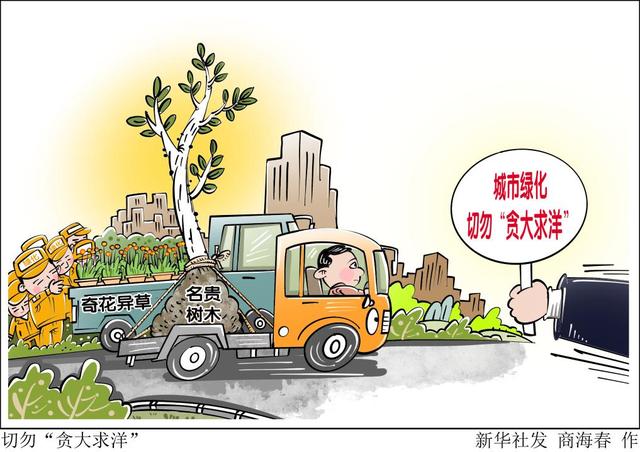 城市绿化切勿“贪大求洋