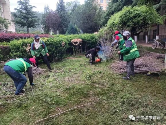 园林绿化整治不停步 城市景观形象再提升