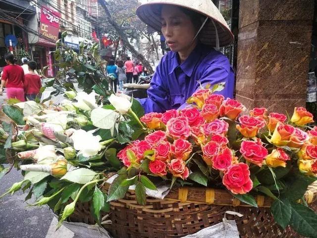 5类花已进“黑名单”，越养越“不吉利”，见到了尽量不要买