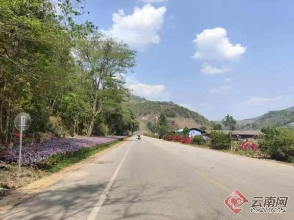 云南孟连：一路一风景