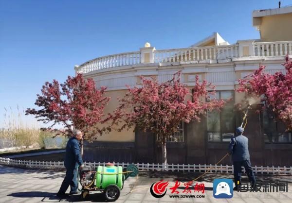 北海经济开发区：春季绿化养护忙 不负春光展新颜