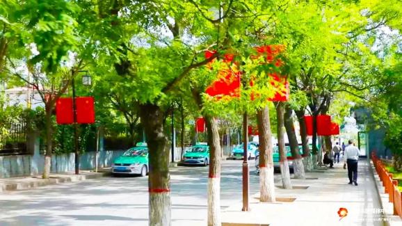 临夏市：提升园林绿化品质 打造生态宜居幸福之城