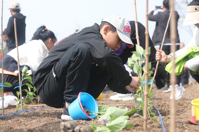 苗圃基地变研学基地，青岛市园林和林业局优化营商环境助企业发展