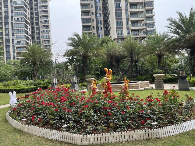 珠海万科“绿茵行动”提升业主幸福指数