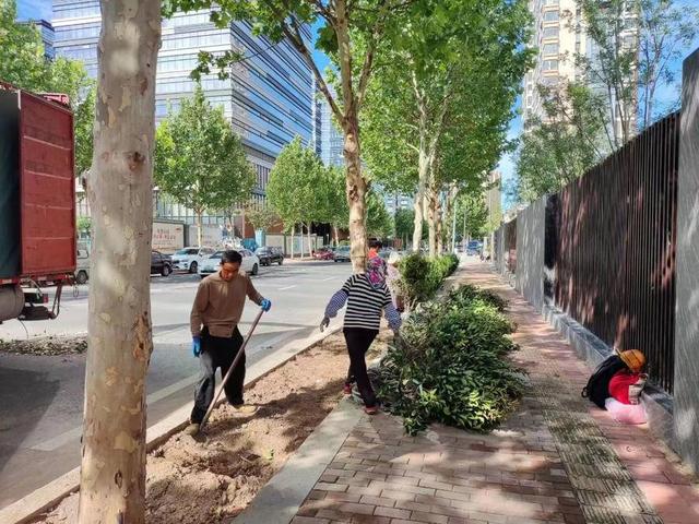 道路环境绿化美化无死角，李沧营造洁净靓丽城区景观