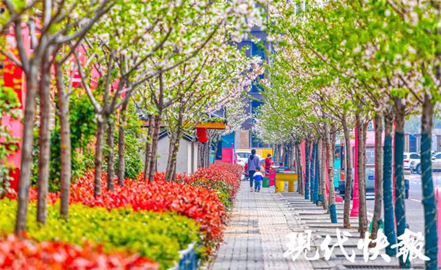 尽显方寸之美！“口袋公园”装满徐州百姓幸福感