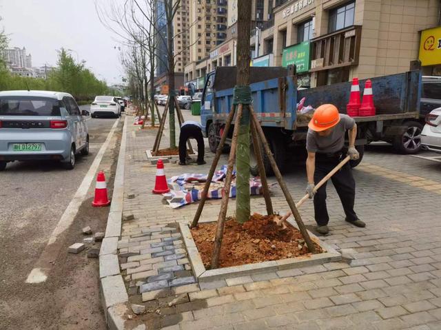 中心城区春季绿化管养开启“加速度”