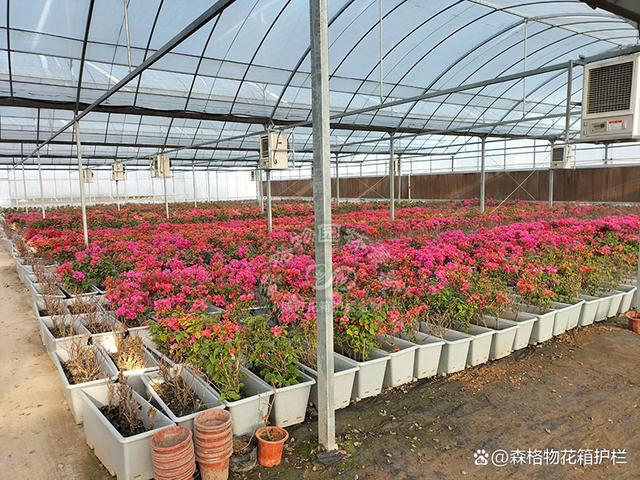 桥梁立体绿化高架桥花盆