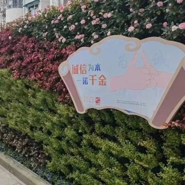 展现历史文化底蕴：走进彭浦新村街道立体绿化