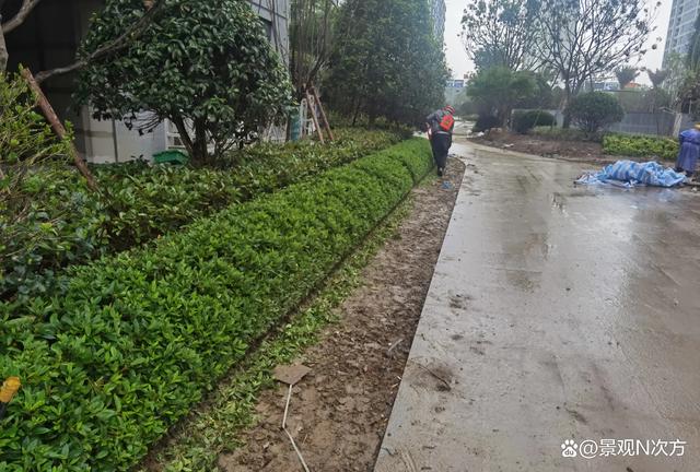 地产项目园林景观施工工艺全过程