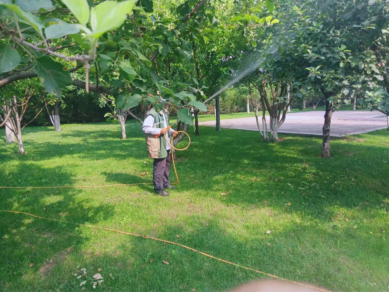 西安浐灞生态区：扮靓花园绿化 打造靓丽街景