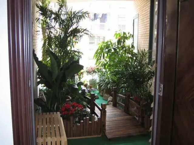 不要“地摊式”养花，一次简单搭配，能让7分的花，现出10分美丽