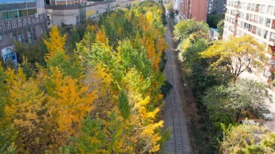 ＂管护＂让植物越冬有保障 城市＂颜值＂增色彩