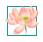  推窗见绿 出门见景 孝昌加快绿化美化 提升城市“颜值”