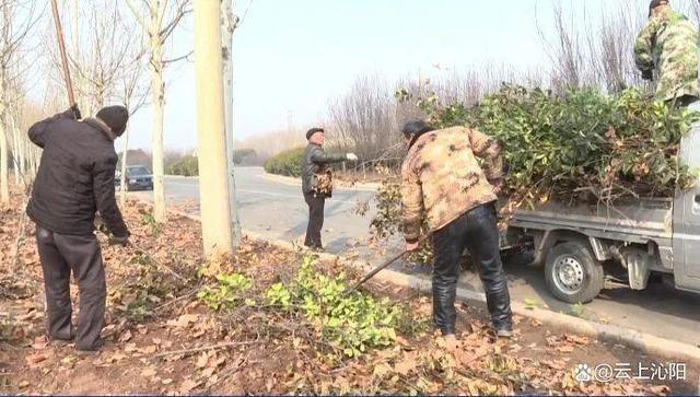 春光正好，为沁阳“梳妆”！