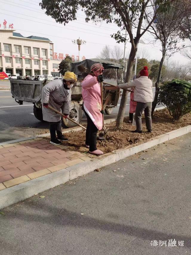 汤阴高新技术产业开发区：春季绿化 绘就“绿色”生态基底