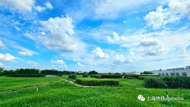 上海地铁首个绿化屋顶光伏项目正式开工