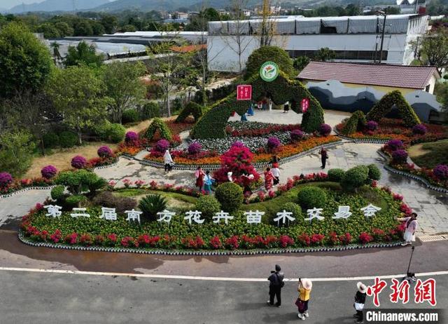 南方花卉苗木交易会：姹紫嫣红桂林城