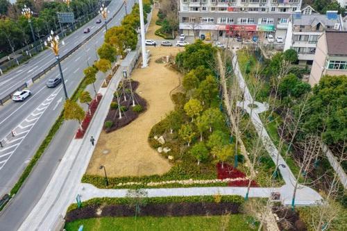 平湖市街头多处绿化容貌升级