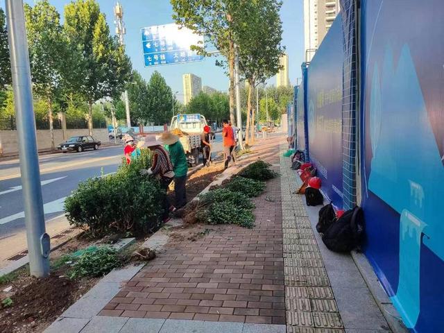 道路环境绿化美化无死角，李沧营造洁净靓丽城区景观