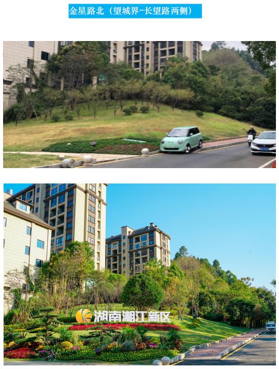 一流品质新区 || 更美、更靓、更精致！新区绿化“颜值”你感受到了吗？