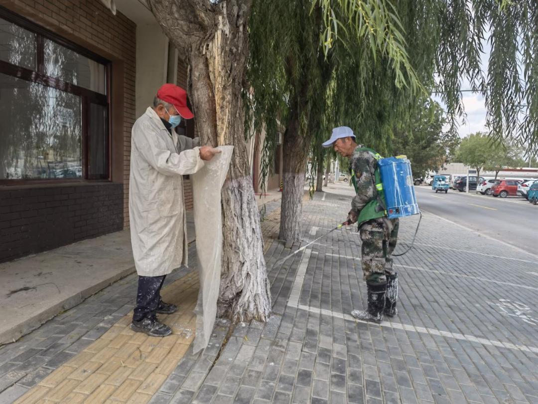 鄂托克前旗：秋季“梳妆”好时节 绿化提升不停歇