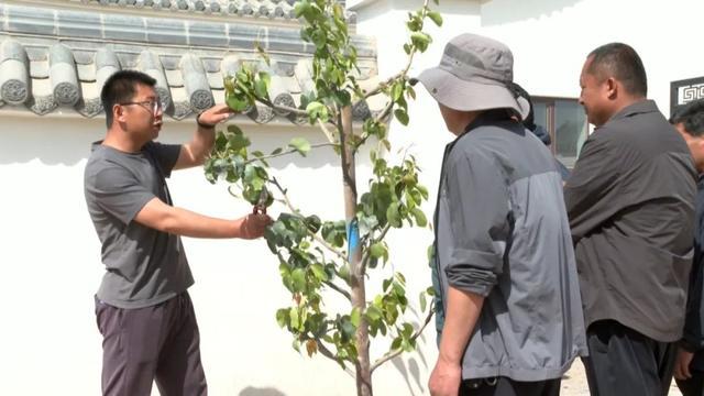 「红色高台 绿色家园」高台：强化林木管护 巩固造林成果