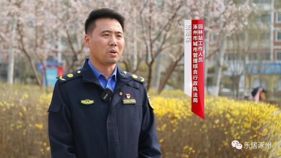 涿州：扮靓城市“颜值”，绿化养护好春光