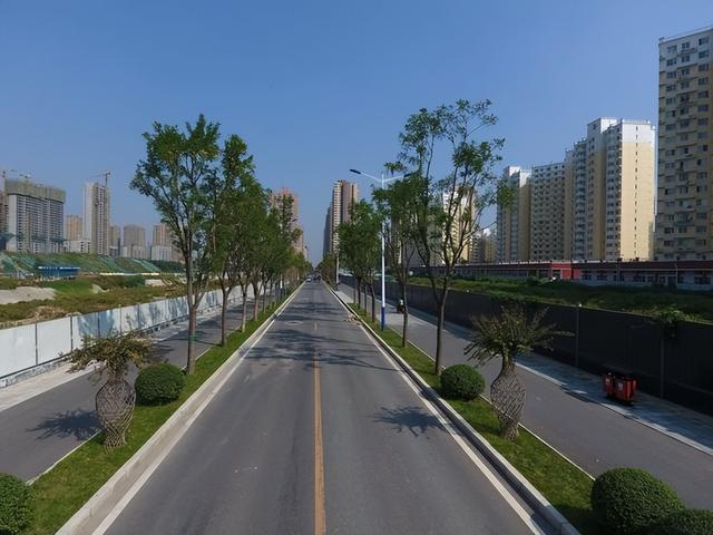 谁才是真环保？随处可见的中国绿化带，提倡环保的西方却很少看到