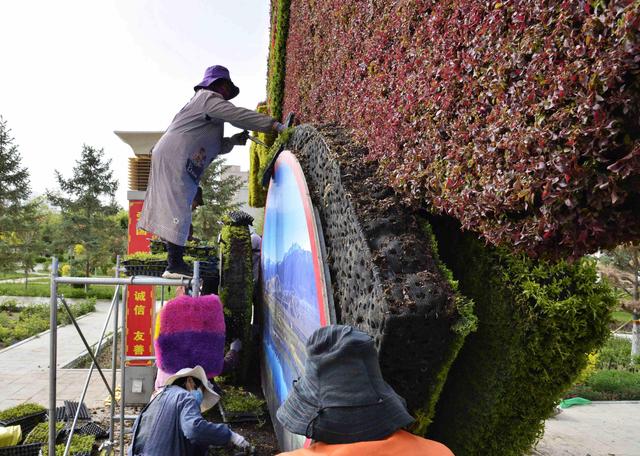 酒泉肃北：绿化提质扮靓城市容颜