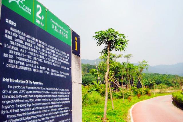 深圳凤凰山绿道