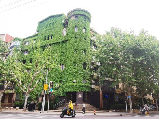 上海公园城市建设中的立体绿化，你知道哪些？