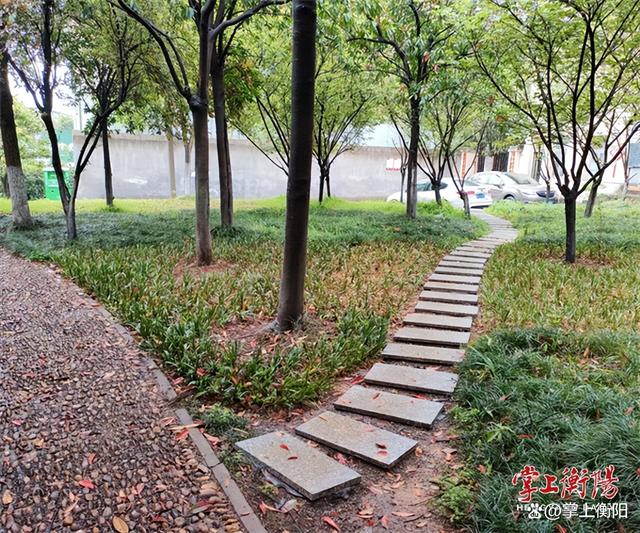 “口袋公园”焕新颜，景色好看“接地气”