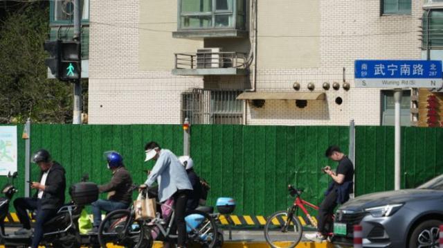 一起来探班！武宁南路沿线绿化恢复工程亮点→