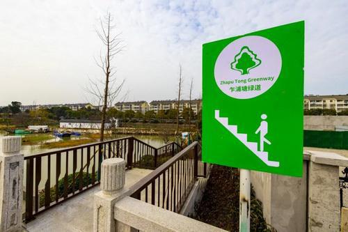 平湖市街头多处绿化容貌升级