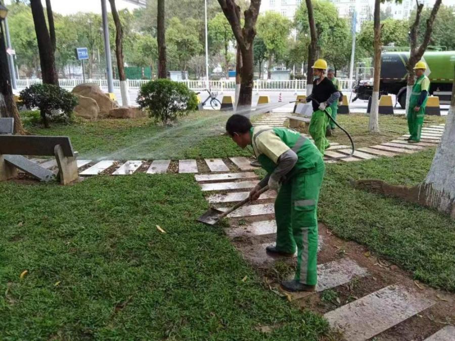 东莞莞城：努力提升园林绿化景观面貌