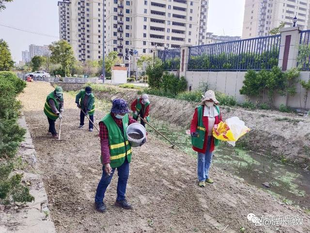 「民生」春季“梳妆”好时节 绿化工人养护忙