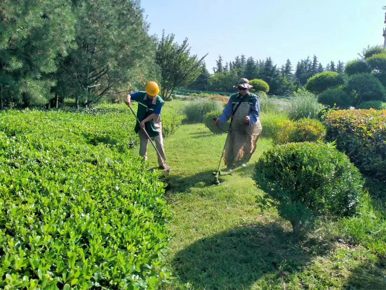 西安浐灞生态区：扮靓花园绿化 打造靓丽街景