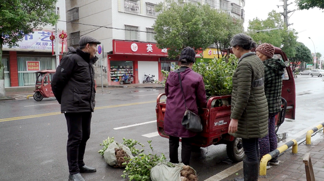 双牌：早春市场人气旺 花卉果木购销忙