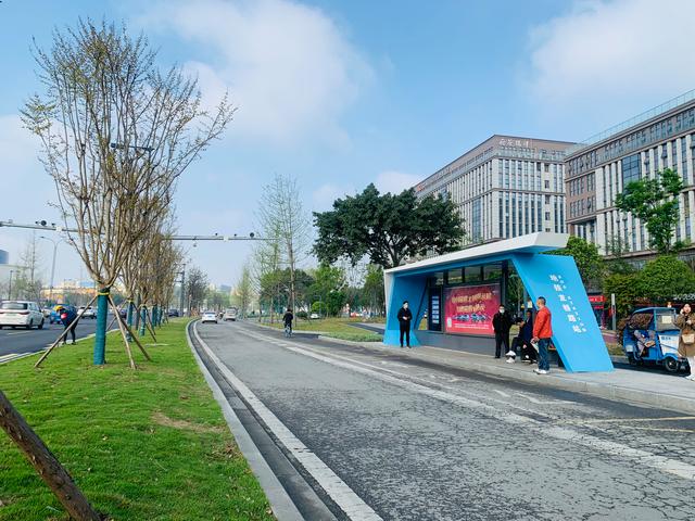 一条路一道景！双楠大道上的变化你感受到了吗？