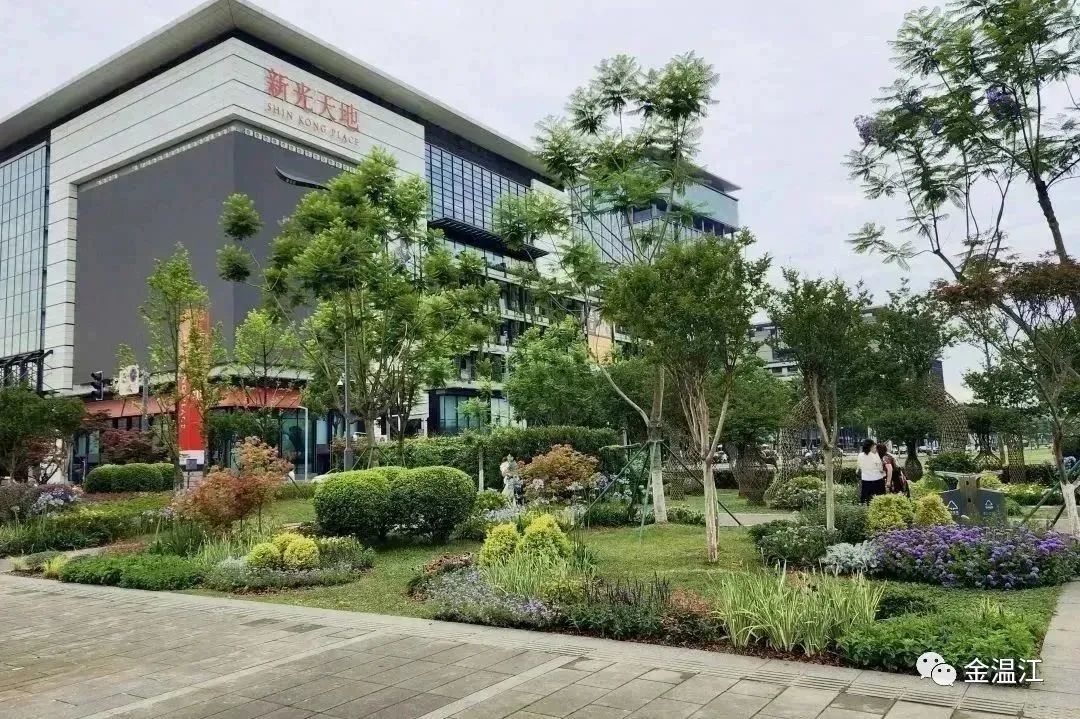 美！温江这个街区绿化升级大变样～