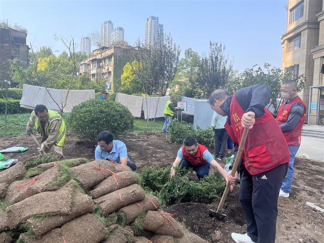 武汉市青山区园林绿化队携手社区共建“共享花园”