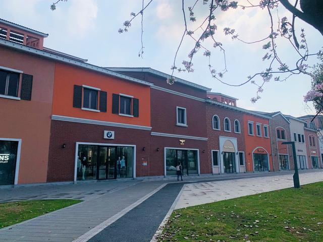 一条路一道景！双楠大道上的变化你感受到了吗？
