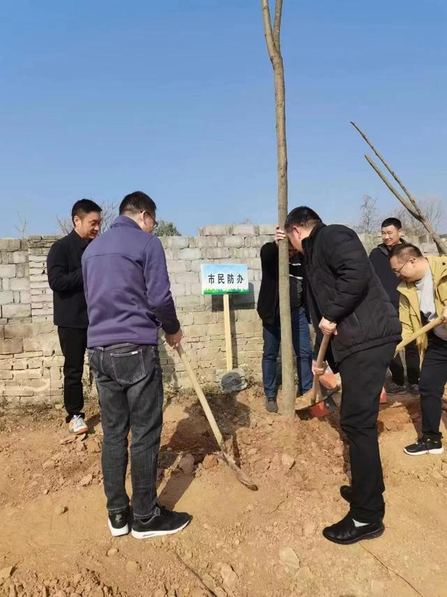 市民防办积极开展2023年义务植树活动