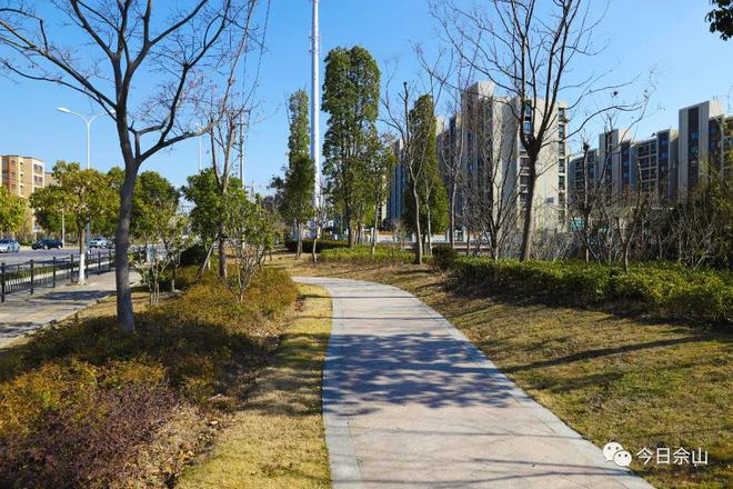 增绿提质！佘山这几条道路的绿化景观提升竣工在即