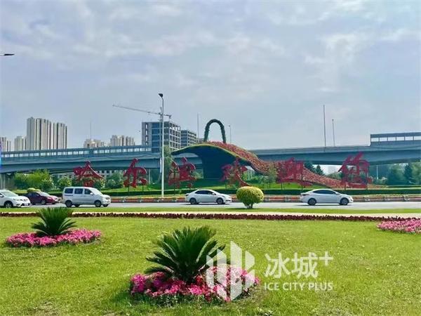 提质添彩 增绿精管｜道里区聚力打造城区园林环境