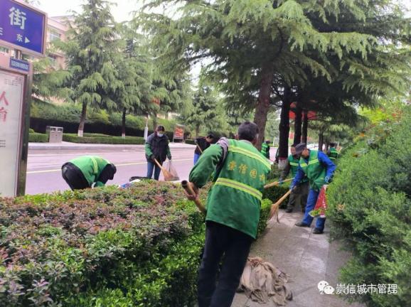 园林绿化整治不停步 城市景观形象再提升